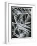 Ice Formation, Oregon, 1965-Brett Weston-Framed Photographic Print