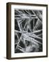 Ice Formation, Oregon, 1965-Brett Weston-Framed Photographic Print