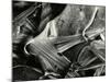 Ice Formation, Oregon, 1970-Brett Weston-Mounted Photographic Print