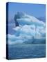 Ice Formed Under Pressure Appears Blue, Monaco Glacier, Leifdefjorden, Svalbard, Norway-Louise Murray-Stretched Canvas