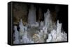 Ice Forming Stalagmite Structures in Ledena Pecina, Obla Glava, Durmitor Np, Montenegro-Radisics-Framed Stretched Canvas