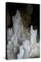 Ice Forming Stalagmite Structures in Ledena Pecina, Obla Glava, Durmitor Np, Montenegro-Radisics-Stretched Canvas