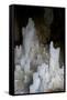 Ice Forming Stalagmite Structures in Ledena Pecina, Obla Glava, Durmitor Np, Montenegro-Radisics-Framed Stretched Canvas