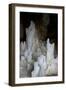 Ice Forming Stalagmite Structures in Ledena Pecina, Obla Glava, Durmitor Np, Montenegro-Radisics-Framed Premium Photographic Print