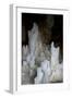 Ice Forming Stalagmite Structures in Ledena Pecina, Obla Glava, Durmitor Np, Montenegro-Radisics-Framed Premium Photographic Print