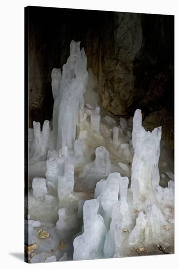 Ice Forming Stalagmite Structures in Ledena Pecina, Obla Glava, Durmitor Np, Montenegro-Radisics-Stretched Canvas