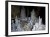 Ice Forming Stalagmite Structures in Ledena Pecina, Obla Glava, Durmitor Np, Montenegro-Radisics-Framed Photographic Print