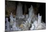 Ice Forming Stalagmite Structures in Ledena Pecina, Obla Glava, Durmitor Np, Montenegro-Radisics-Mounted Photographic Print