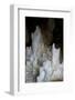Ice Forming Stalagmite Structures in Ledena Pecina, Obla Glava, Durmitor Np, Montenegro-Radisics-Framed Photographic Print