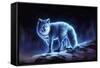 Ice Fox-JoJoesArt-Framed Stretched Canvas