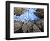 Ice Fragments on Coastal Rocks, Saqqaq, Greenland, August 2009-Jensen-Framed Photographic Print