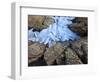 Ice Fragments on Coastal Rocks, Saqqaq, Greenland, August 2009-Jensen-Framed Photographic Print