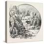 Ice Grove, Canada, Nineteenth Century-null-Stretched Canvas