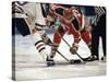 Ice Hockey East Rutherford, New Jersey, USA-null-Stretched Canvas