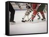 Ice Hockey East Rutherford, New Jersey, USA-null-Framed Stretched Canvas