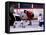 Ice Hockey Face Off, Torronto, Ontario, Canada-Paul Sutton-Framed Stretched Canvas