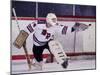 Ice Hockey Goalie in Action-null-Mounted Photographic Print