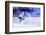 Ice Hockey Player in Action Kicking with Stick-dotshock-Framed Photographic Print