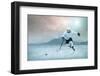 Ice Hockey Player on the Ice, Outdoor.-Andrey Yurlov-Framed Premium Photographic Print