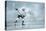 Ice Hockey Player on the Ice-yuran-78-Stretched Canvas