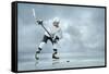 Ice Hockey Player on the Ice-yuran-78-Framed Stretched Canvas