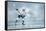 Ice Hockey Player on the Ice-yuran-78-Framed Stretched Canvas