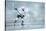 Ice Hockey Player on the Ice-yuran-78-Stretched Canvas