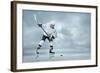 Ice Hockey Player on the Ice-yuran-78-Framed Photographic Print