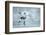 Ice Hockey Player on the Ice-yuran-78-Framed Photographic Print