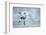 Ice Hockey Player on the Ice-yuran-78-Framed Photographic Print