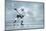 Ice Hockey Player on the Ice-yuran-78-Mounted Photographic Print