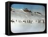 Ice Hockey, St Moritz, Switzerland-null-Framed Stretched Canvas