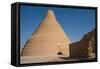 Ice house for preserving ice, Arbukuh, near Yazd, Iran, Middle East-James Strachan-Framed Stretched Canvas