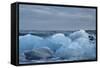 Ice, Icebergs, Black Lava Beach, Glacier Lagoon, Jškulsarlon, South Iceland-Julia Wellner-Framed Stretched Canvas