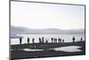 Ice, Icebergs, Glacier Lagoon, Jškulsarlon, South Iceland-Julia Wellner-Mounted Photographic Print