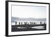 Ice, Icebergs, Glacier Lagoon, Jškulsarlon, South Iceland-Julia Wellner-Framed Photographic Print