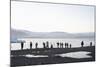 Ice, Icebergs, Glacier Lagoon, Jškulsarlon, South Iceland-Julia Wellner-Mounted Photographic Print