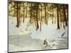 Ice in the Glen, 1908-Walter Launt Palmer-Mounted Giclee Print