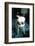 Ice kitten's sister-Vincent Alexander Booth-Framed Photographic Print