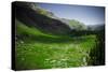 Ice Lake Basin, Colorado: Looking Down at Lower Ice Lake Basin Valley-Brad Beck-Stretched Canvas