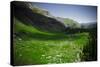 Ice Lake Basin, Colorado: Looking Down at Lower Ice Lake Basin Valley-Brad Beck-Stretched Canvas