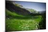 Ice Lake Basin, Colorado: Looking Down at Lower Ice Lake Basin Valley-Brad Beck-Mounted Photographic Print