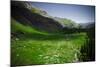 Ice Lake Basin, Colorado: Looking Down at Lower Ice Lake Basin Valley-Brad Beck-Mounted Photographic Print