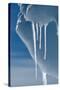 Ice Melting in the High Arctic Sun in Spring, Nunavut, Canada, North America-Louise Murray-Stretched Canvas