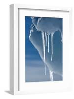 Ice Melting in the High Arctic Sun in Spring, Nunavut, Canada, North America-Louise Murray-Framed Photographic Print