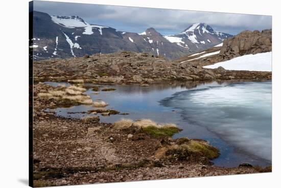 Ice Melting on a Mountain Pass, Strandir, West Fjords, Iceland, Polar Regions-Ethel Davies-Stretched Canvas