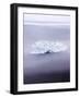 Ice on Jokulsa Beach, Iceland-Nadia Isakova-Framed Photographic Print