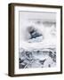 Ice on Jokulsa Beach, Iceland-Nadia Isakova-Framed Photographic Print