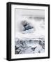 Ice on Jokulsa Beach, Iceland-Nadia Isakova-Framed Photographic Print