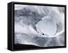 Ice on Jokulsa Beach, Iceland-Nadia Isakova-Framed Stretched Canvas